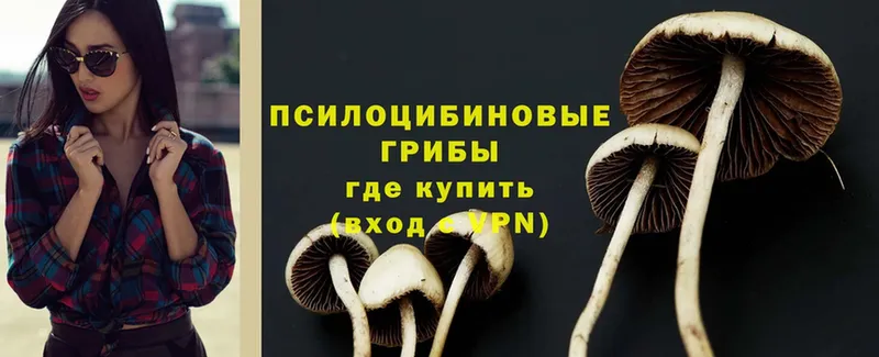 Галлюциногенные грибы Magic Shrooms  даркнет сайт  Дегтярск 